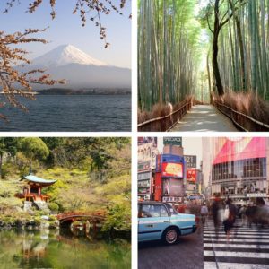 mount fuji tokyo